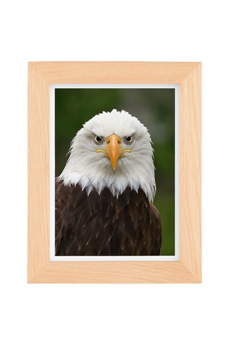 Holzrahmen eiche natur rom - eiche, |